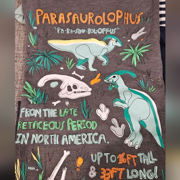 Medium Boys Tees and Tanks Bundle (10) - Picture 5 of 6